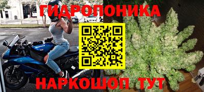 ПСИЛОЦИБИНОВЫЕ ГРИБЫ Изобильный