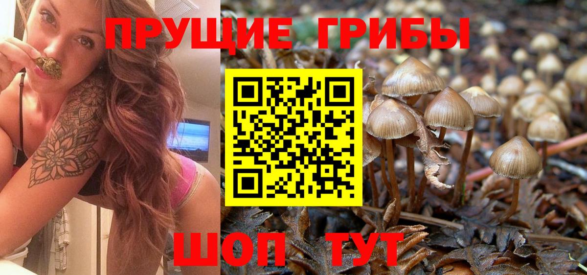 Галлюциногенные грибы мухоморы  Вход с VPN  Рыбинск  Псилоцибиновые грибы Psilocybine cubensis 