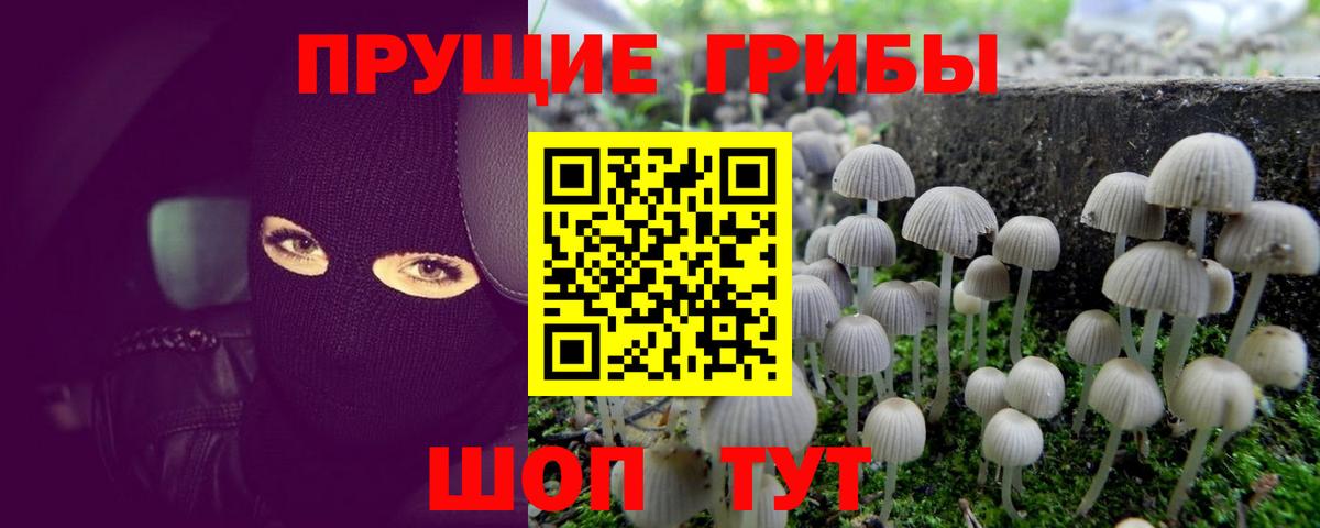 Галлюциногенные грибы мухоморы Рыбинск